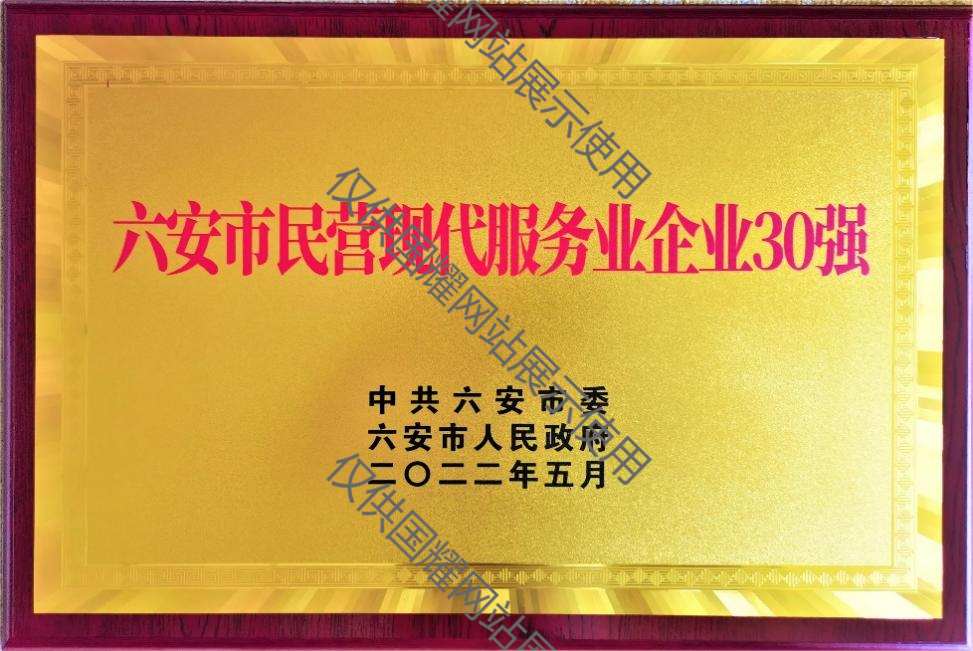 六安市民營現(xiàn)代服務(wù)業(yè)企業(yè)30強